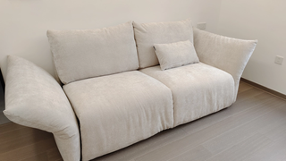 JASIWAY Petal Inspired Sofa Bed: Style and Function for Every Space