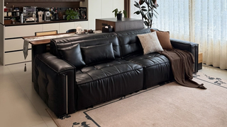JASIWAY Black Feather Electric Sofa: Redefining Comfort and Style