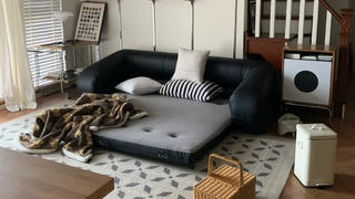 JASIWAY Folding Sofa Bed: Where Comfort Meets Unmatched Versatility