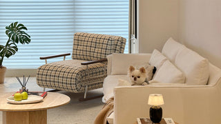 sleeper-sofas-futons