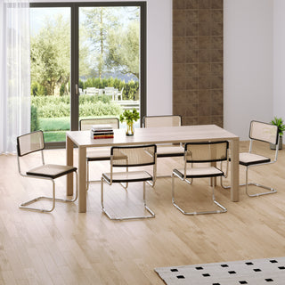 JASIWAY Rattan Dining Side Chair Set of 2 Stainless Steel Base