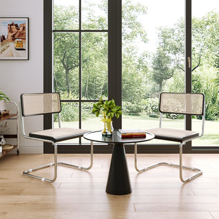 JASIWAY Rattan Dining Side Chair Set of 2 Stainless Steel Base