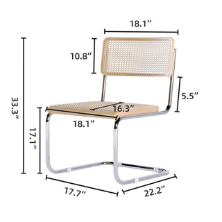 JASIWAY Rattan Dining Side Chair Set of 2 Stainless Steel Base